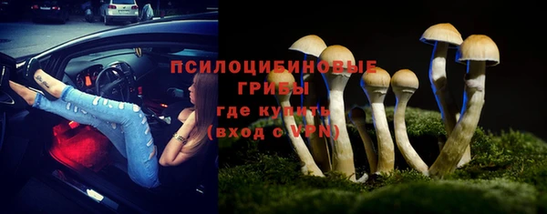 гашик Бронницы