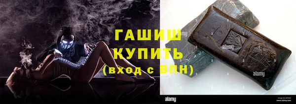 стаф Богданович
