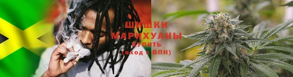 стаф Богданович
