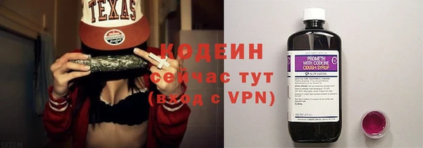 стаф Богданович