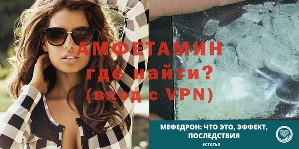 стаф Богданович