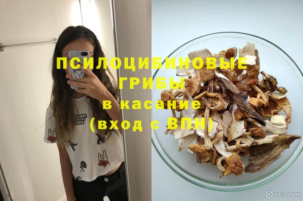 а пвп мука Богородск