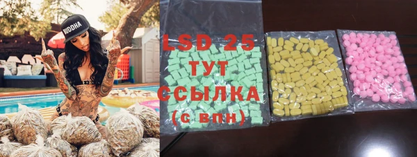 тгк Бородино