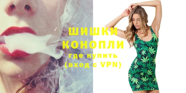 тгк Бородино