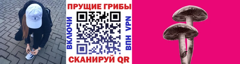 Псилоцибиновые грибы мицелий Оха