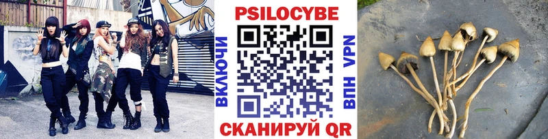 Псилоцибиновые грибы прущие грибы  Оха 
